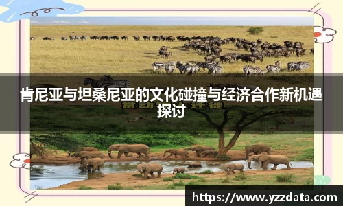 6686体育官网